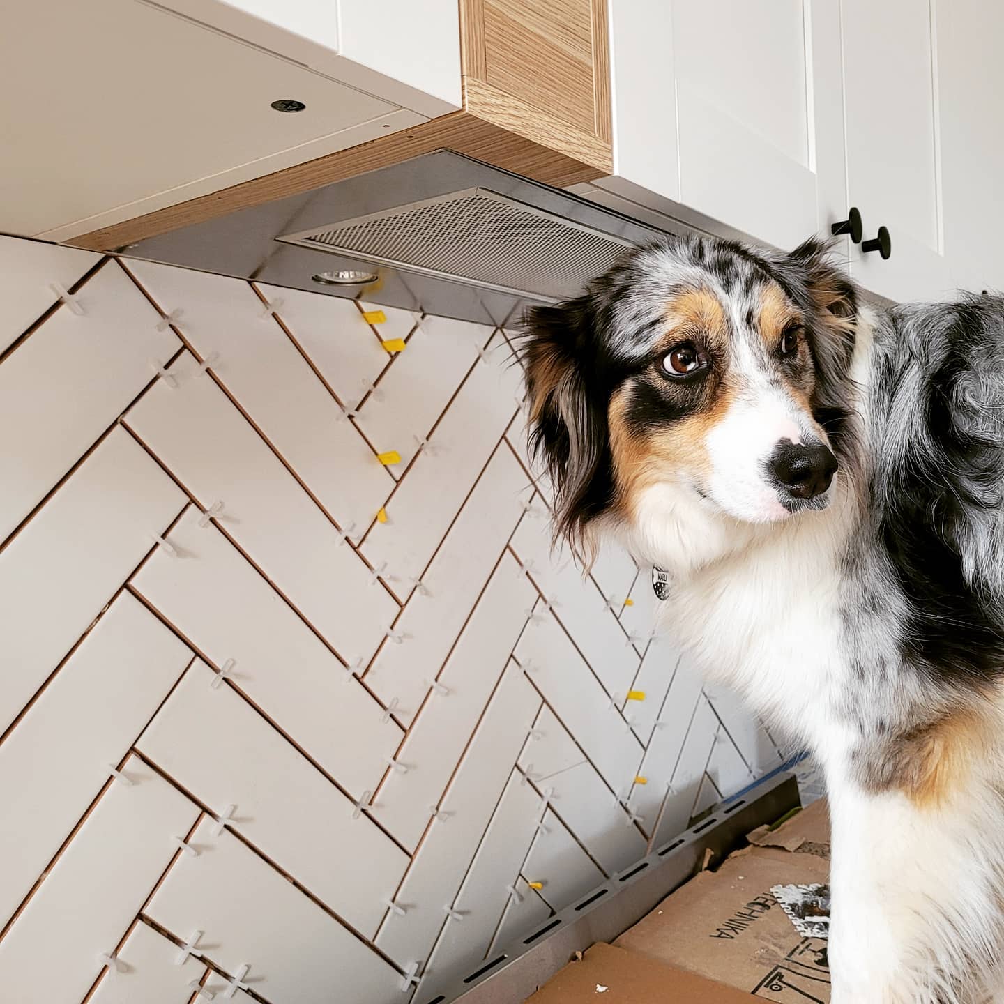 Herringbone tiled splashback going up during a kitchen renovation